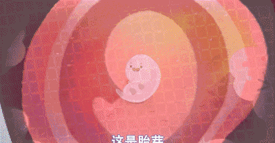 t01be83b7c334bccd27.gif