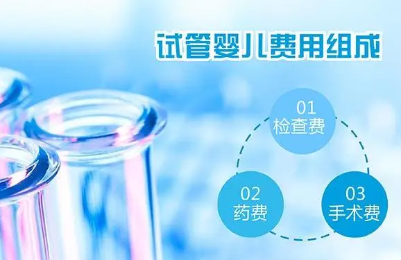 第三代试管婴儿价格.png