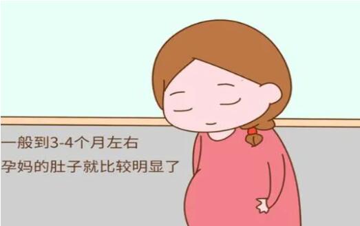 怀孕1一9月子宫尺寸，子宫尺寸能看男女吗？