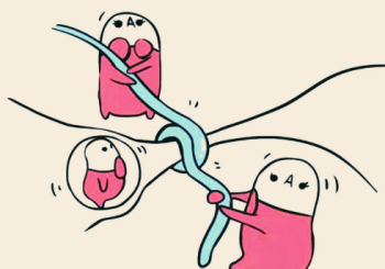 输卵管结扎会影响卵巢血供