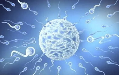 精子np值是什么意思