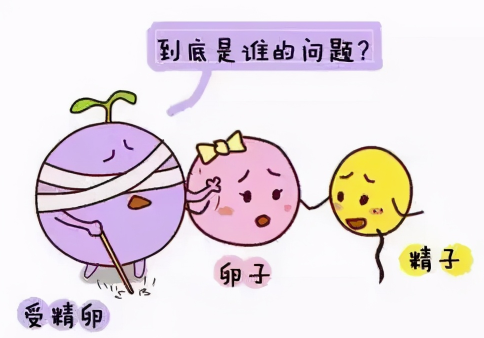 [受精卵不着床是什么原因造成的]