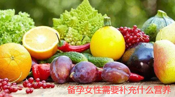 备孕女性需要补充什么营养.png
