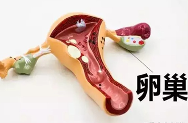 卵巢早衰想要怀孕的方式
