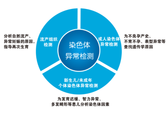 bdc3b560ac91963833e3d394beacf2b53e264.png