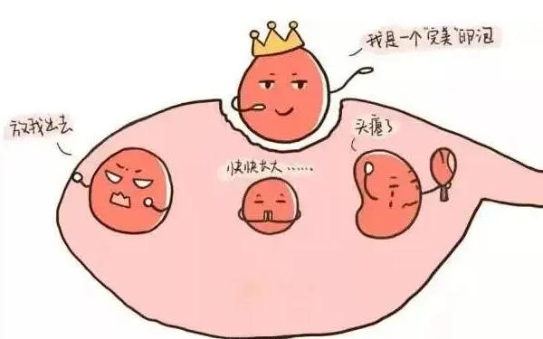 卵泡形状决定生男生女