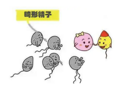 精子发黄成果冻状1.png