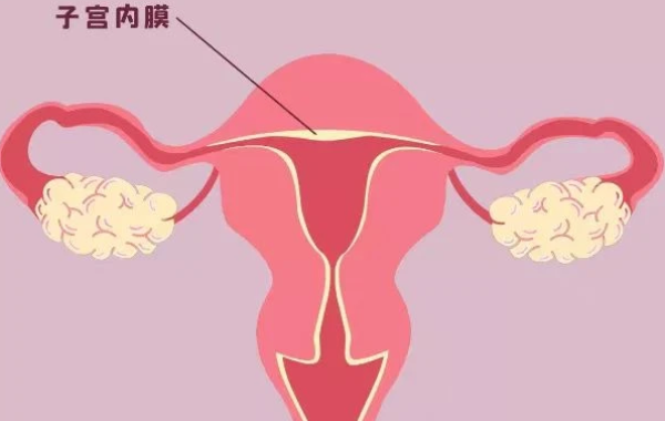 子宫内膜转化的厚度要求