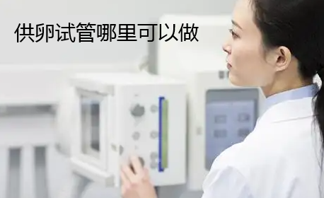 供卵试管哪里可以做.png