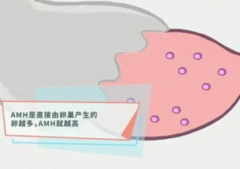 c3be8f8a2c2419e11460b0ecc4c7e8fcdf190.png