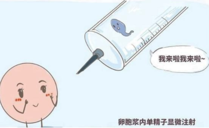 刚刚移植胚胎后应该注意些什么.png