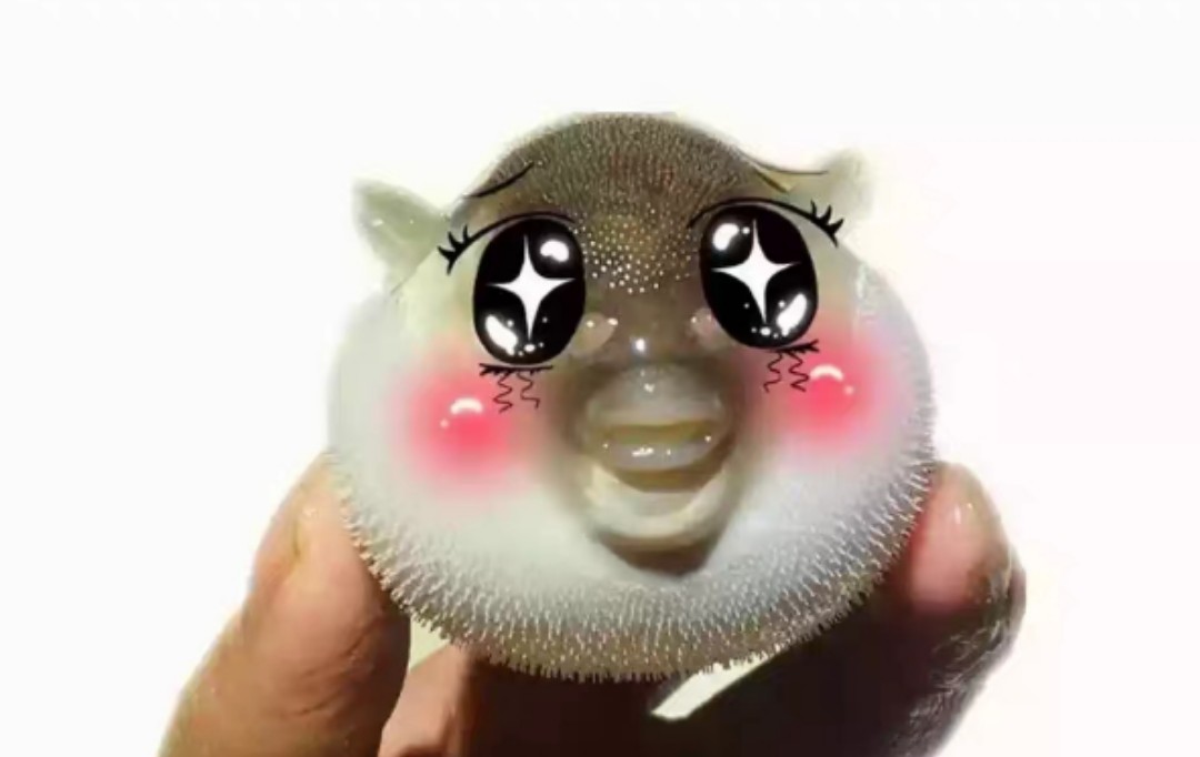 灰灰头像