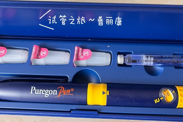 雌激素水平