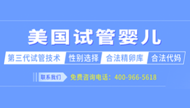 美国试管婴儿中介