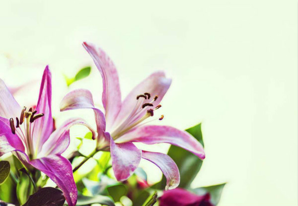 timg (4)_meitu_1.jpg