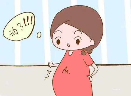 胎动位置和性别无关
