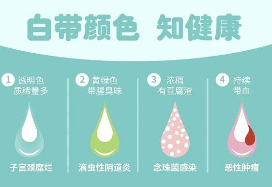 科普|白带常规检查结果怎么看,看懂各项指标标准并不困难