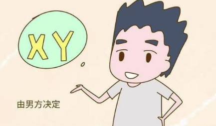生男生女谁的基因决定