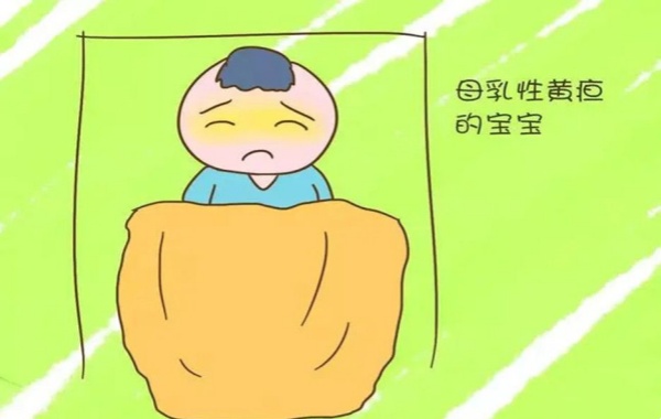 停止母乳喂养后黄疸会明显消退