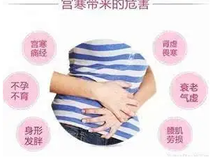 宫寒.png