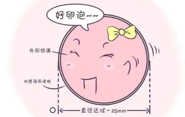 长方案促排期间卵泡大小均匀说明质量好