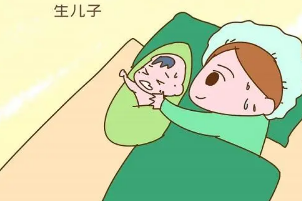 胎儿性别是由性染色体决定
