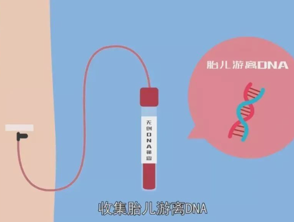 无创能检测出胎儿很多信息