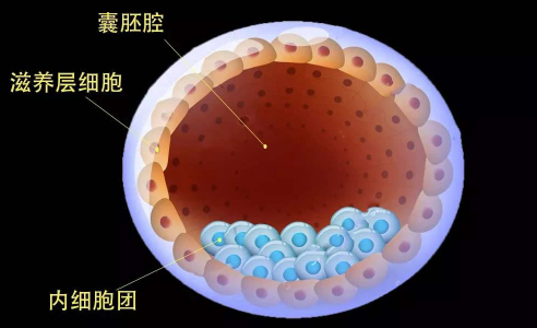 d317e79e37a07269d8751d3178b68d61e6927.png