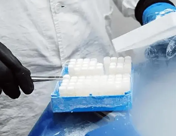 供精试管要支付精子费用