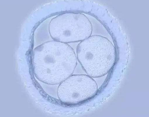 d53c2aad650b88eea0f3aef8250654e646227.png