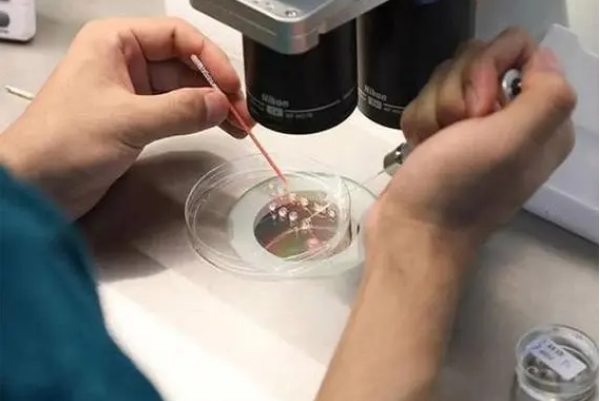 精子活力差做三代试管