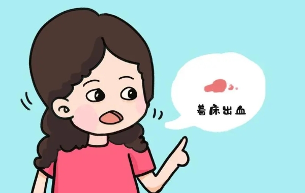 精子和卵子可结合形成受精卵