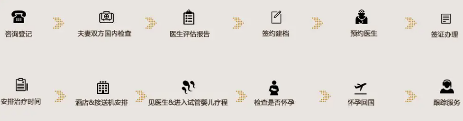 俄罗斯第三代试管婴儿流程.png