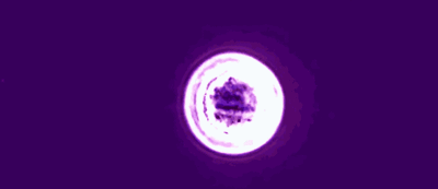 t0135ee07501ef8d000.gif