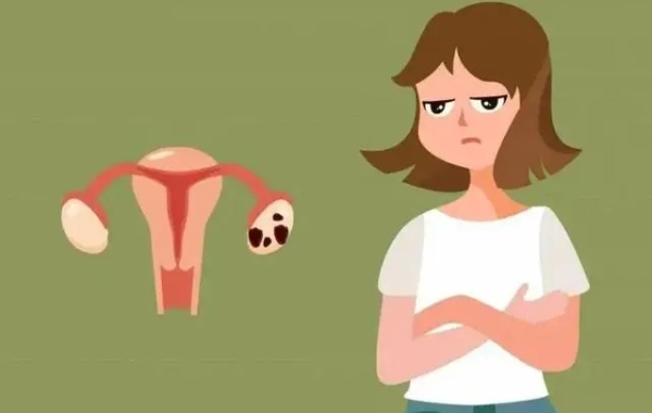 女性绝经以前月经周期的间隔开始变长