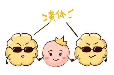 Y2WMI363HRLEXHD4PJKRR3L.png