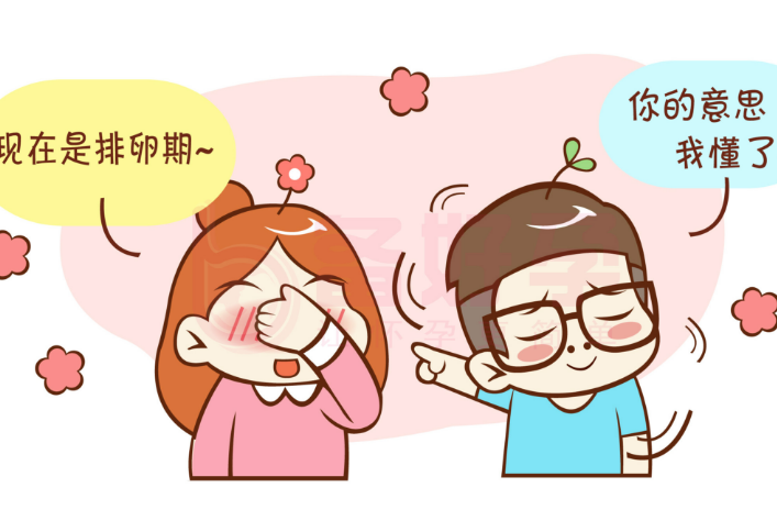夫妻备孕准备/
