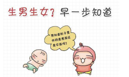 怀男孩后有哪些症状