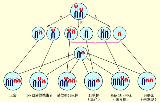 话题图标