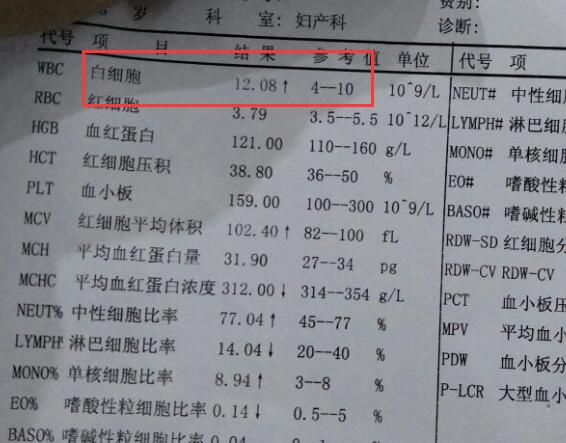 移植后白细胞高可能是炎症