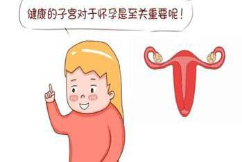 健康的子宫是怀孕的基本