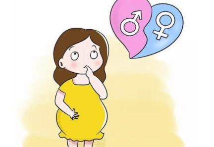 怀孕不想吃肉和油腻的是男孩女孩.png