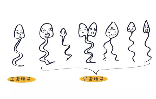 f6b4bf97e0ff9ea3b1d99fbf7019b2f18b2d0.png