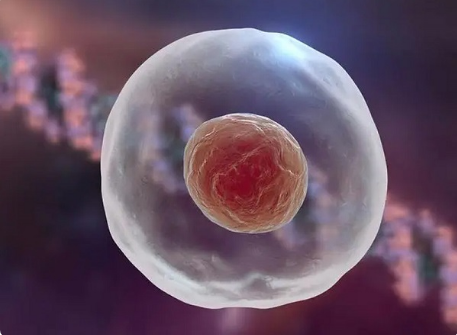 二代试管会筛选活力的精子