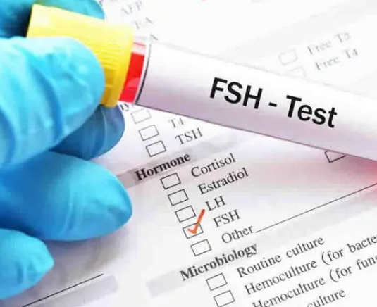 fsh值能促进卵泡发育