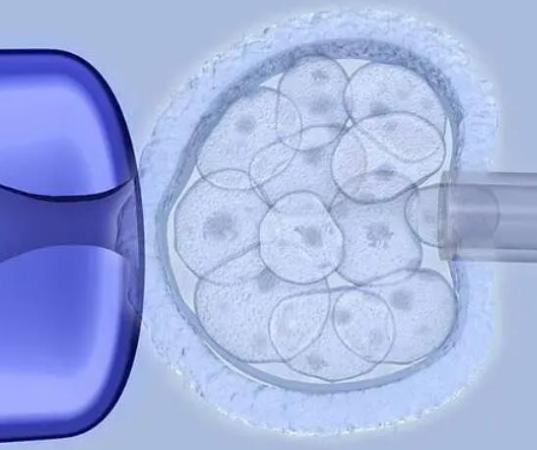 一代试管能提高怀孕几率