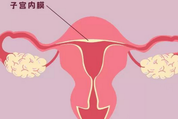 子宫内膜太薄不建议做试管