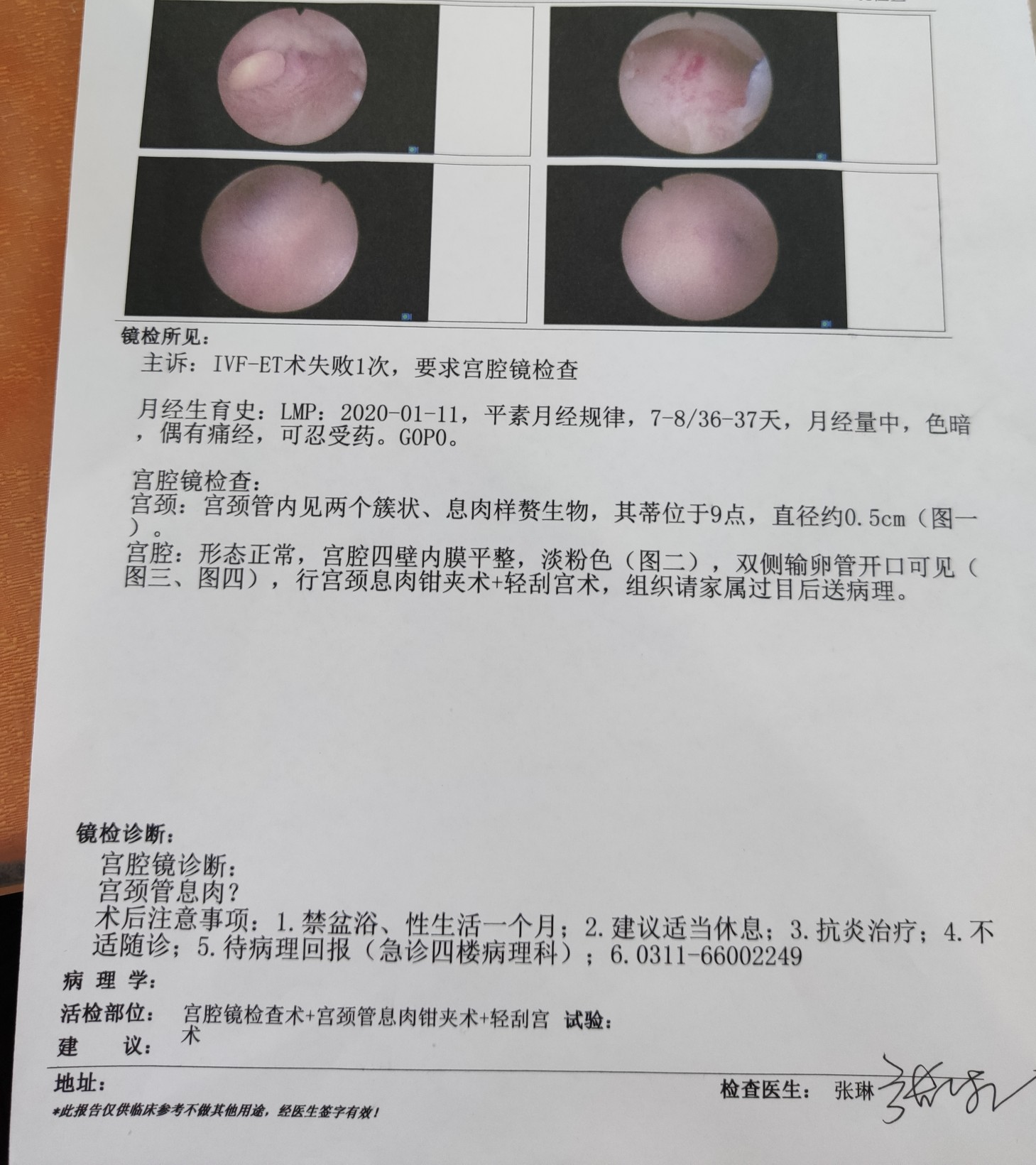 523feab1-70a2-4a0c-bfce-77c8fd0fc855