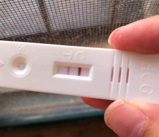 鲜胚移植2周后能验出怀孕
