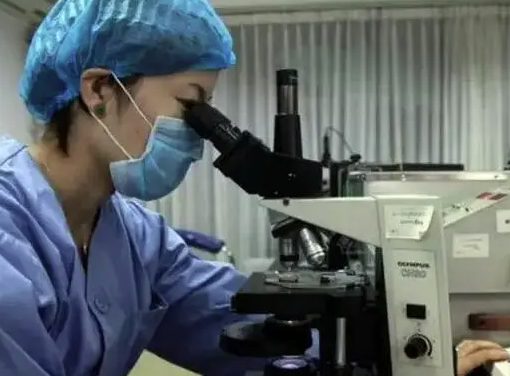 武汉康健医院胚胎实验室